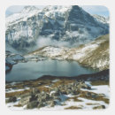 Search for formation stickers No people