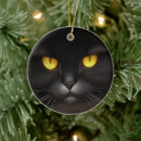 Search for persian cat ornaments Animal