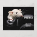 Recherche de fromager cartes postales Rongeur