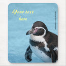 Search for penguins on electronics Animal
