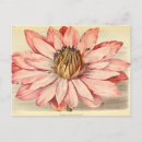 Search for french floral postcards Pink