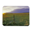 Search for barb cards Wire