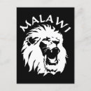 Search for malawi Lion