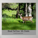 Recherche de le diable posters Sauvage