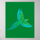 Recherche de amazonien posters Perroquet