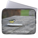 Search for feed electronics Bird
