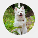 Search for finnish ornaments Dog