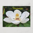Search for mississippi postcards Southern
