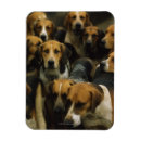 Recherche de chien de chasse magnets Animaux domestiques