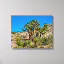 Search for butt canvas prints Gold butte national monument