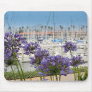 Search for scenery electronics Summer