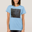 Search for wassup clothing Animal