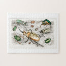 Recherche de insect puzzles Coloré