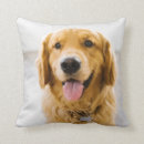Search for golden retriever pillows Panting
