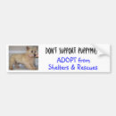 Search for foster bumper stickers Shelter