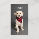 Search for pet instagram business cards Animal trends