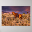 Search for bureau posters Danita delimont