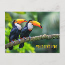 Recherche de oiseau toucan cartes postales Travel