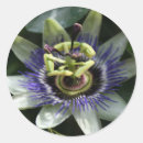 Search for la stickers Flowers