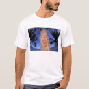 Search for tree trunk tshirts Bark