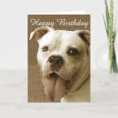 Search for american bulldog cards invites Animals