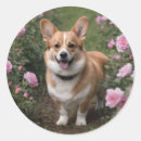 Search for short stickers Corgi