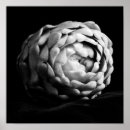 Recherche de d artichaut art Nourriture
