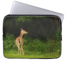 Search for tablet photography Sleeve