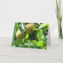 Search for fruit tree cards Orchard