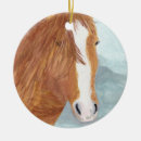 Search for pony ornaments Wild
