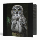 Search for owl avery binders White