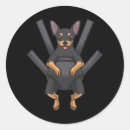 Search for mail carrier stickers Funny