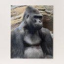 Recherche de gorilla puzzles Singe