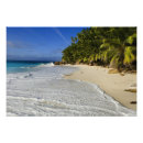 Search for indian ocean art Seychelles