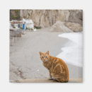 Search for structures built by animals Full length