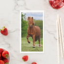 Search for iceland paper plates Animal