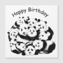 Search for panda birthday Funny