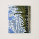 Search for fossil puzzles Nature