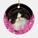 Search for evergreen ornaments Family photo