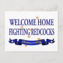 Search for redcocks Super hornet