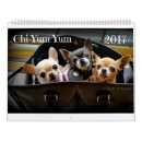 Search for chihuahua calendars Dog