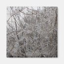 Recherche de brindilles magnets Hiver