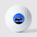 Search for snow golf balls Winter