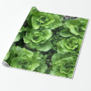 Search for lettuce wrapping paper Green