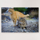 Recherche de orange cat puzzles Gingembre