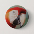 Search for beautifuls buttons Wild
