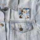 Recherche de welsh badges Chien de la reine