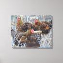 Recherche de poulet impressions sur toile Poulets