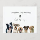 Search for walking flyers Dog walking business