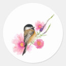 Search for black capped chickadees stickers Watercolor chickadee